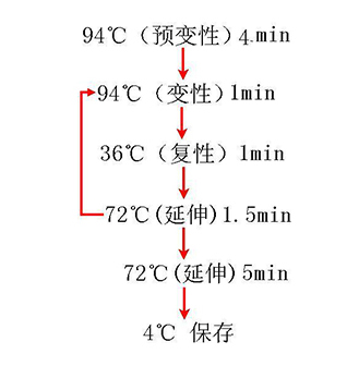 中国·9888拉斯维加斯(集团)有限公司-官方网站