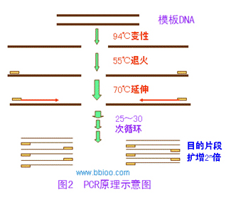 中国·9888拉斯维加斯(集团)有限公司-官方网站