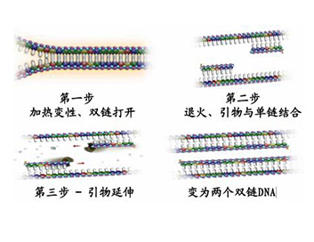 中国·9888拉斯维加斯(集团)有限公司-官方网站