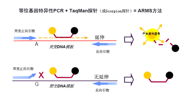 中国·9888拉斯维加斯(集团)有限公司-官方网站